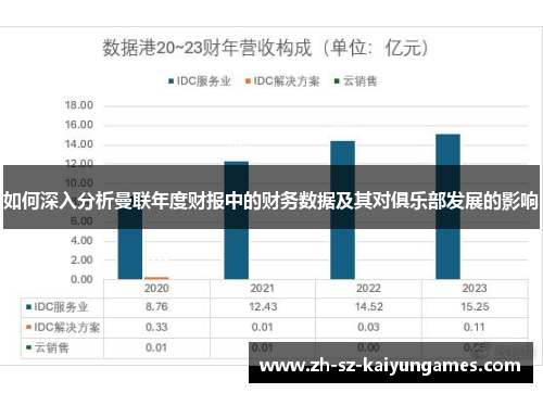 如何深入分析曼联年度财报中的财务数据及其对俱乐部发展的影响