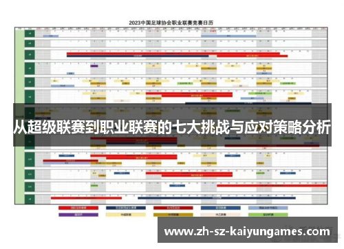 从超级联赛到职业联赛的七大挑战与应对策略分析
