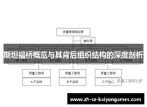 斯坦福桥概览与其背后组织结构的深度剖析