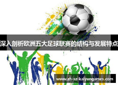 深入剖析欧洲五大足球联赛的结构与发展特点