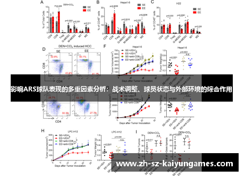 影响ARS球队表现的多重因素分析：战术调整、球员状态与外部环境的综合作用