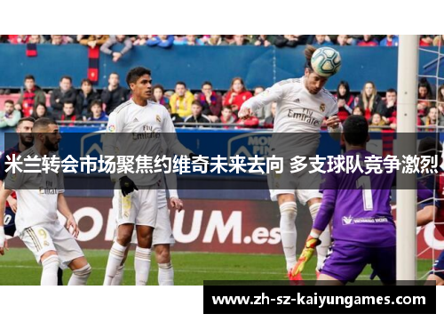 米兰转会市场聚焦约维奇未来去向 多支球队竞争激烈