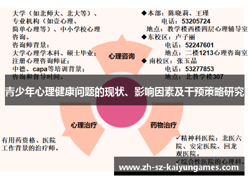 青少年心理健康问题的现状、影响因素及干预策略研究 青少年心理健康问题的现状、影响因素及干预策略研究